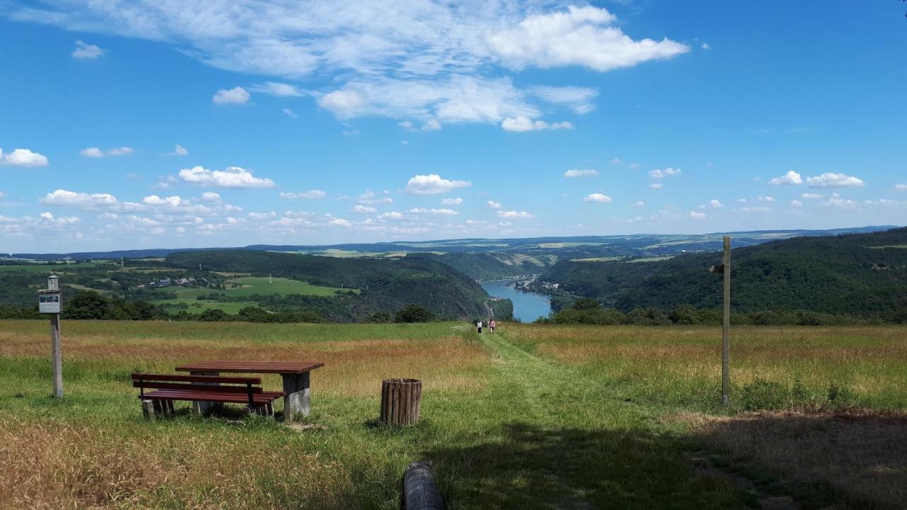 4-Sterne Ferienwohnung Carbach -Perfekt Fuer Radfahrer- Boppard Exterior photo